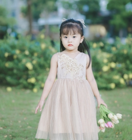 ĐẦM DH TÙNG LƯỚI DẬP LY SIZE TRUNG TAMIUY