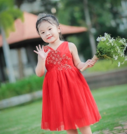 ĐẦM DH TÙNG LƯỚI DẬP LY SIZE TRUNG TAMIUY