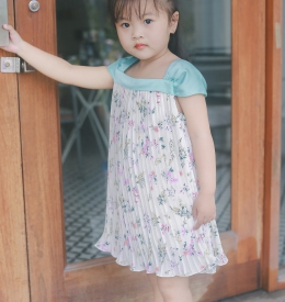 ĐẦM DẬP LY TAMIUY