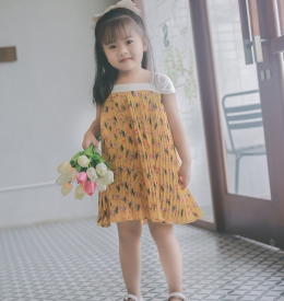 ĐẦM DẬP LY TAMIUY