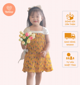 ĐẦM DẬP LY TAMIUY