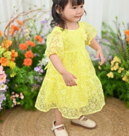  ĐẦM BABYDOLL XẺ TIM TAMIUY